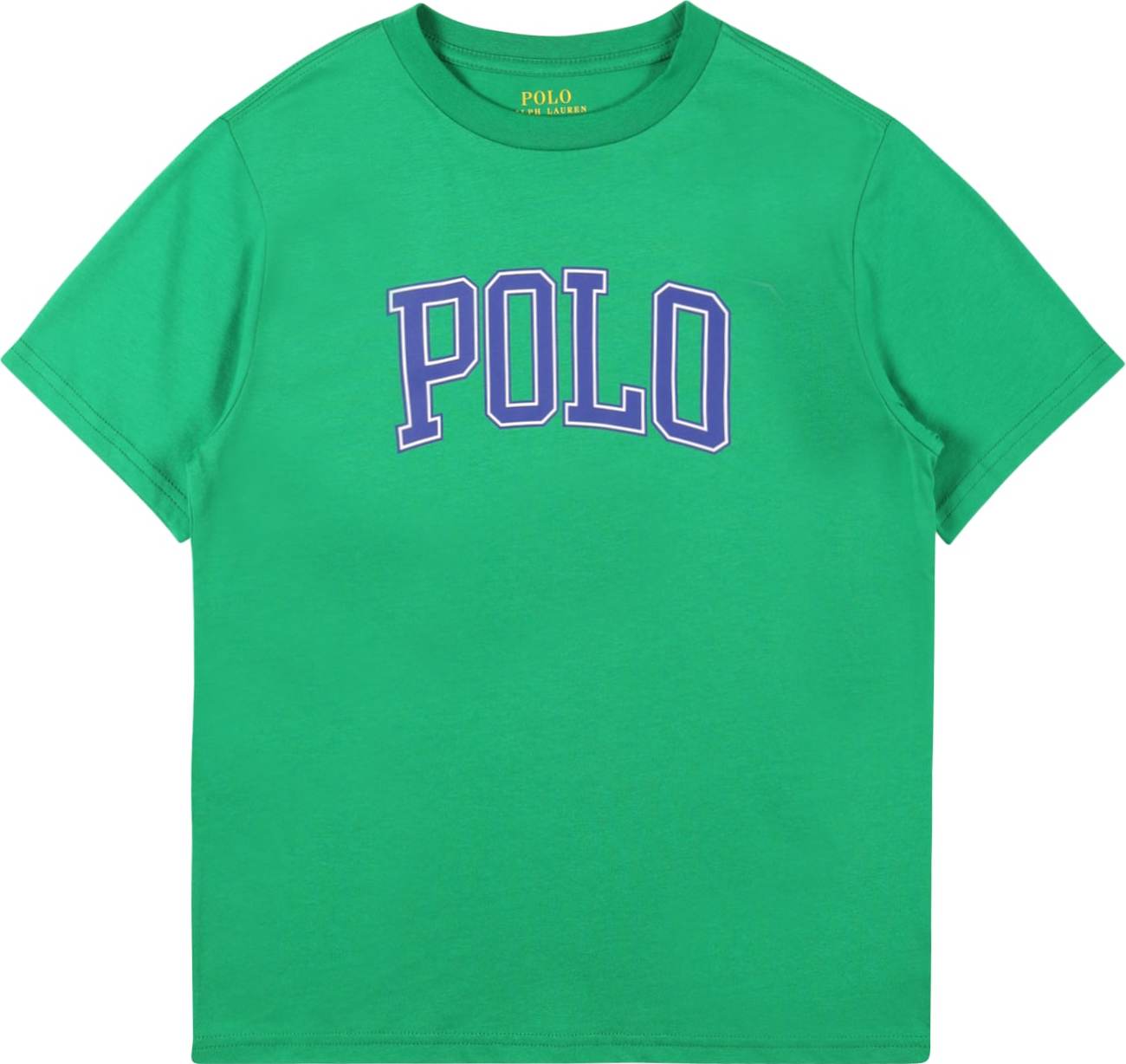 Polo Ralph Lauren Tričko zelená / modrá