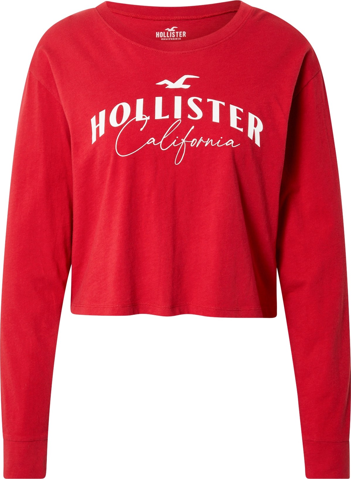 HOLLISTER Tričko červená / bílá