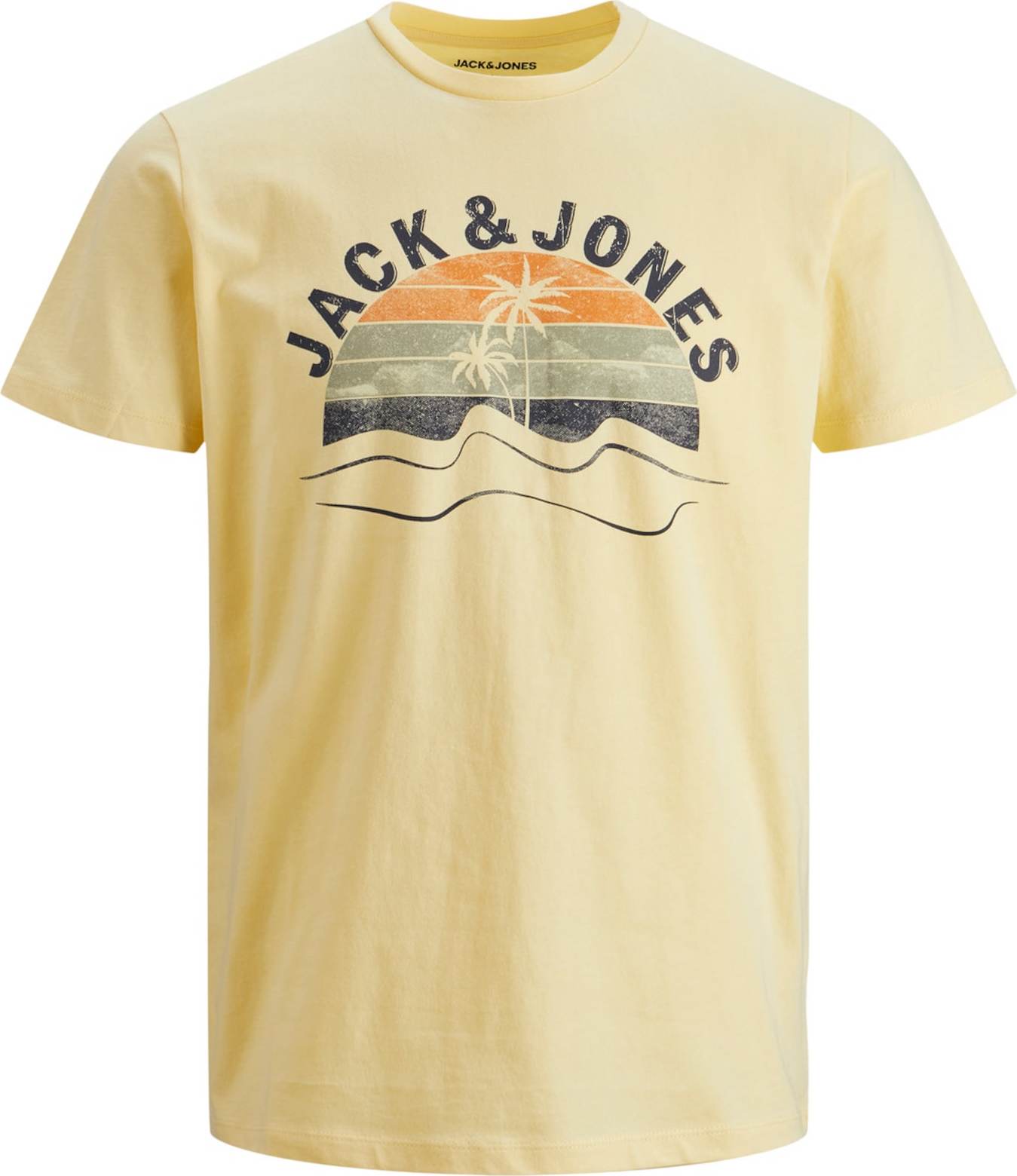 Jack & Jones Junior Tričko 'PALM' mix barev