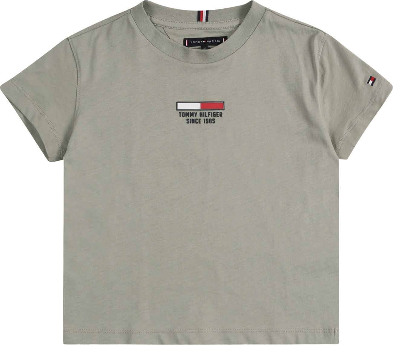 TOMMY HILFIGER Tričko mátová / černá / červená / bílá