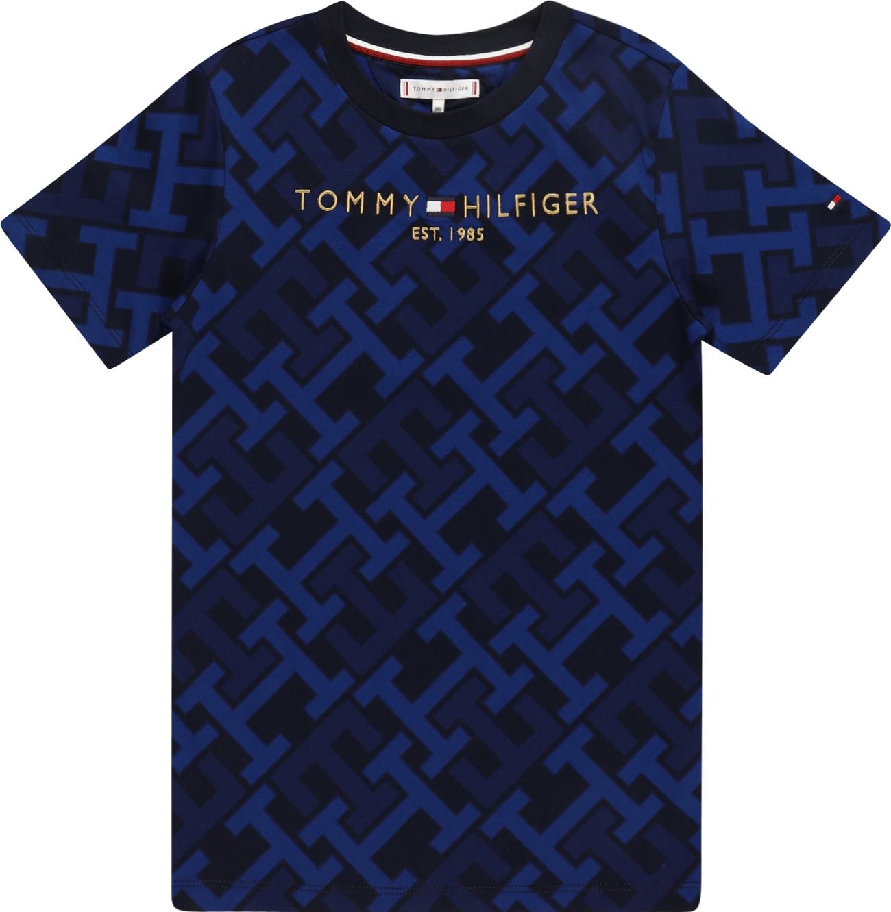 TOMMY HILFIGER Tričko modrá / námořnická modř / bílá / červená